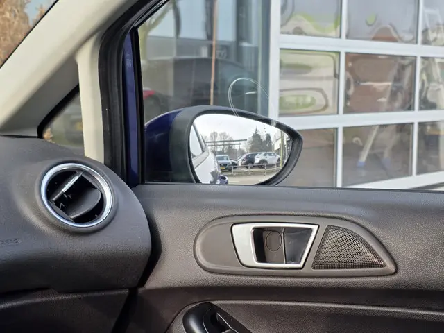 Ford Fiesta 1.25 | Trekhaak| Airco | 2015 Benzine 9