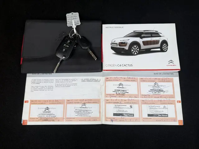 Citroën C4 Cactus 1.2 PureTech Business 2015 Benzine 19