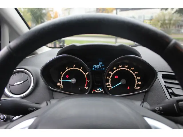 Ford Fiesta 1.0 EcoB. Titanium 2013 Benzine 12