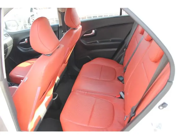 Kia Picanto 1.0 CVVT Design Edition 2013 Benzine 14