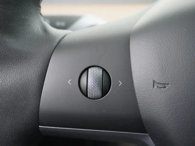 Tesla Model Y Performance AWD 75 kWh 2022 Elektrisch 28