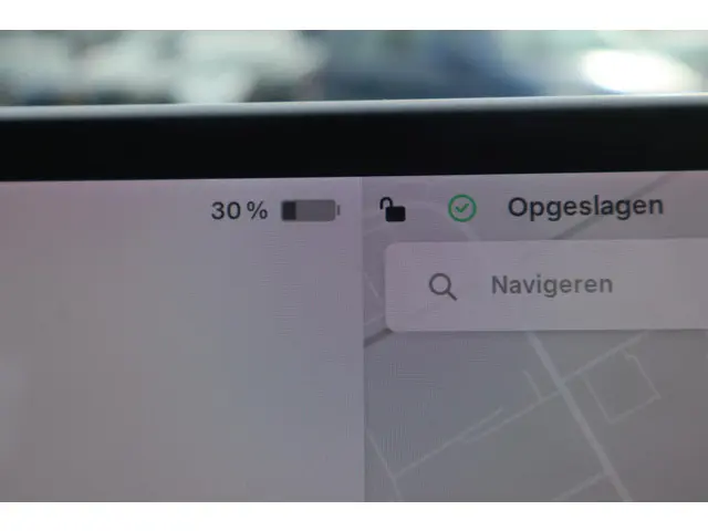 Tesla Model 3 Standard RWD Plus 60 kWh 2020 Elektrisch 51