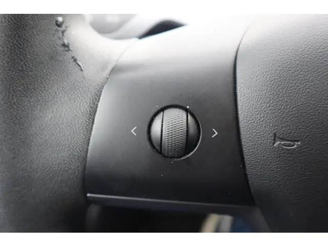 Tesla Model 3 Performance AWD 75 kWh 2019 Elektrisch 25