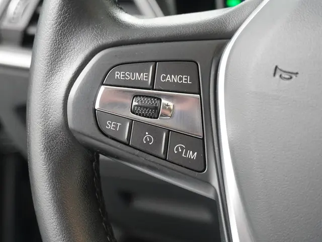 BMW 3 Serie 318i Executive Edition 2020 Benzine 19