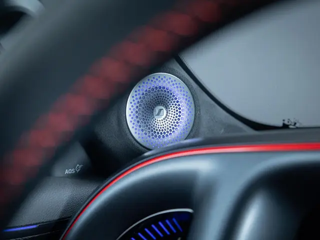Smart #5 Brabus 100 kWh 2025 Elektrisch 19