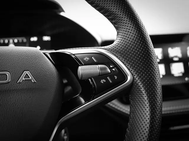 Škoda Fabia 1.0 TSI 115pk DSG Monte Carlo 2025 Benzine 18