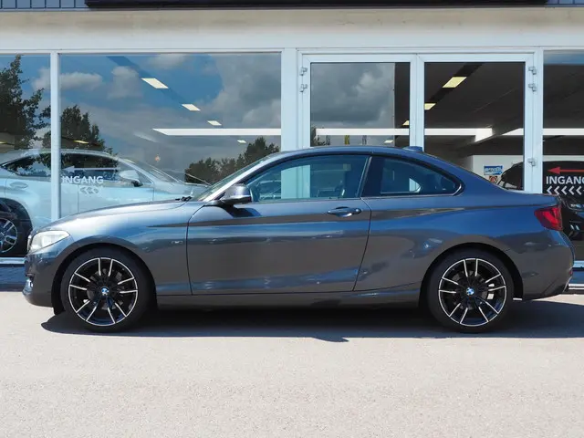 BMW 2 Serie Coupé 220i High Executive 2014 Benzine 16