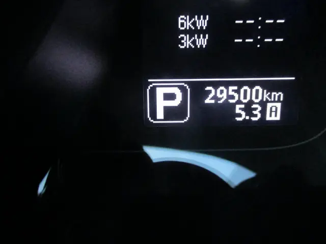 Nissan e-NV200 Business 2017 Elektrisch 19