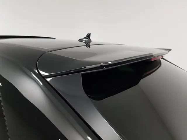 Audi RSQ8 RQ8 4.0 TFSI Quattro 600pk! 2021 Benzine 35