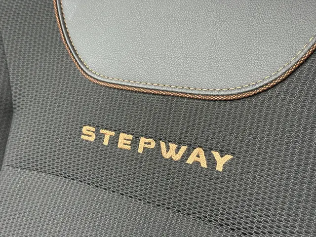 Dacia Logan MCV TCe 90 Stepway 2018 Benzine 15