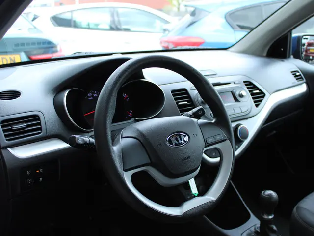 Kia Picanto 1.0 CVVT Summer Edition 2017 Benzine 8