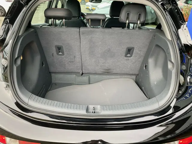 Opel Ampera-e Business Executive 60 kWh 2020 Elektrisch 13
