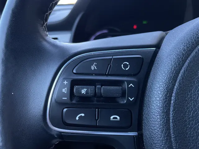 Kia e-Niro ExecutiveLine 64 kWh 2019 Elektrisch 24