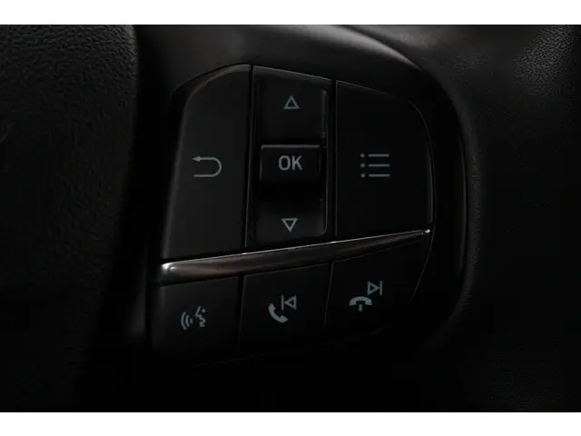 Ford Fiesta 1.0 EcoBoost Titanium//Navi!! 2021 Benzine 10