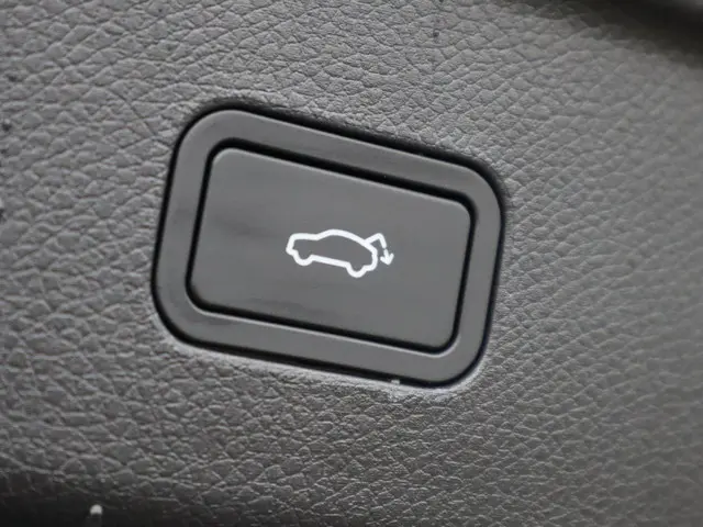 Smart #3 Premium 66 kWh 2025 Elektrisch 10