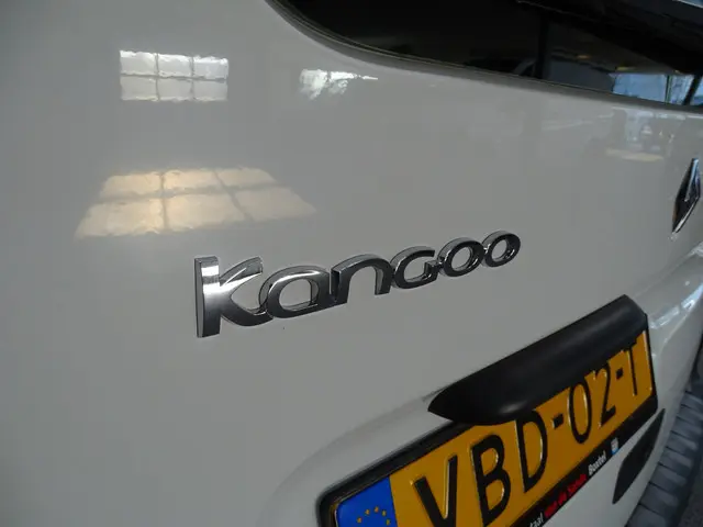 Renault Kangoo 1.5 dCi 75 Energy Comfort 2019 Diesel 25