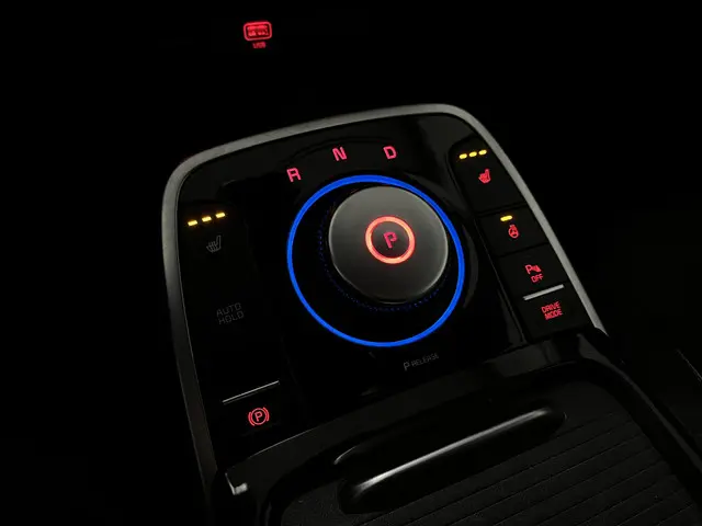 Kia e-Niro DynamicLine 64 kWh 2020 Elektrisch 10