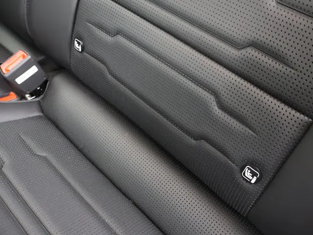 Kia Niro EV Edition Advanced 64.8 kWh 2024 Elektrisch 42