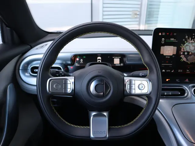 Smart #1 Pro+ 66 kWh 2024 Elektrisch 16