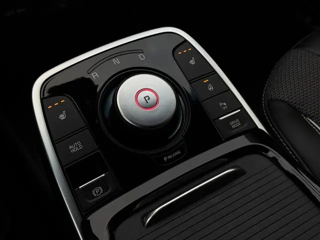 Kia e-Niro Aut. Dynamic Edition 64kWh 2021 Elektrisch 25