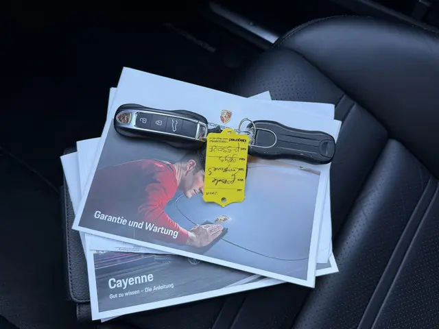 Porsche Cayenne 2.9 S Platinum Edition 2020 Benzine 36