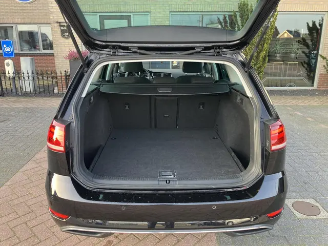 Volkswagen Golf Variant 1.6 TDI 2018 Diesel 18