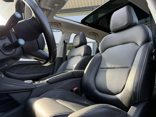 MG MG ZS EV Aut. Luxury 45kWh 2019 Elektrisch 11
