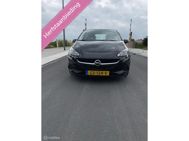 Opel Corsa 1.0 Turbo Edition,5 deurs,,airco,apk 2015 Benzine 7