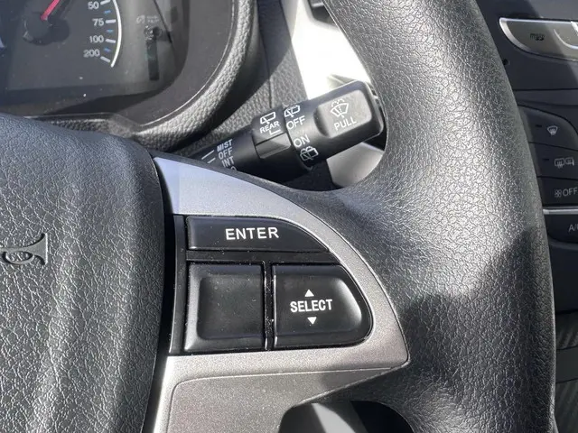 BYD ETP3 Standard 45 kWh 2023 Elektrisch 30