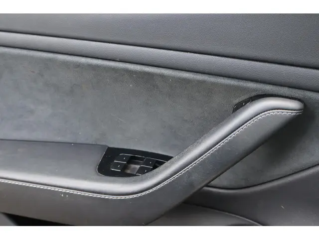 Tesla Model 3 Long Range AWD 75 kWh 2019 Elektrisch 16