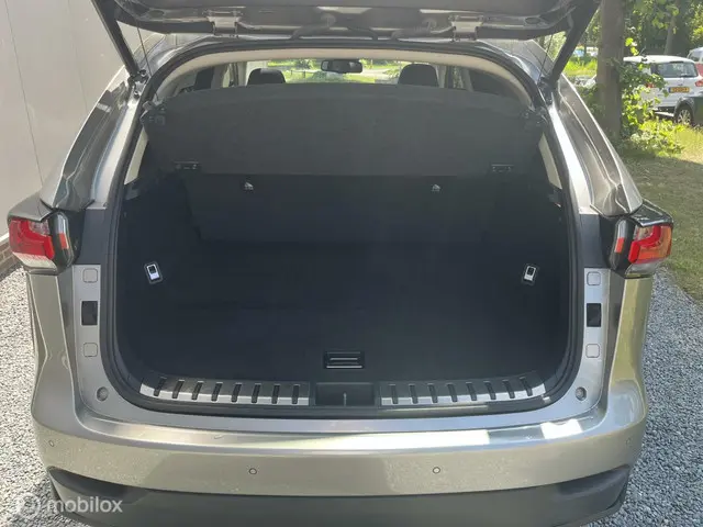 Lexus NX 300h AWD President Line 2014 Hybride Benzine 15