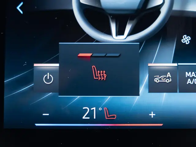 BMW X1 sDrive20i 2024 Benzine 32