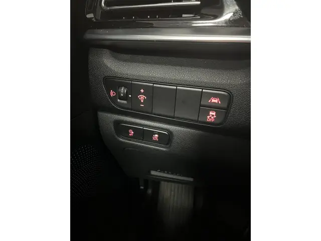 Kia e-Niro Edition 64 kWh 2021 Elektrisch 32