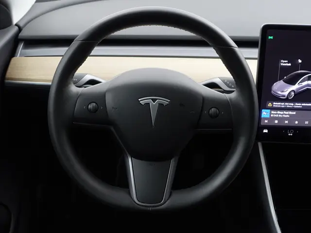 Tesla Model 3 Long Range AWD 75 kWh- 2019 Elektrisch 14