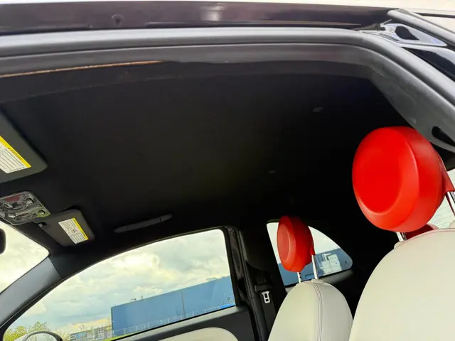 Fiat 500e 24kwh 2014 Elektrisch 12