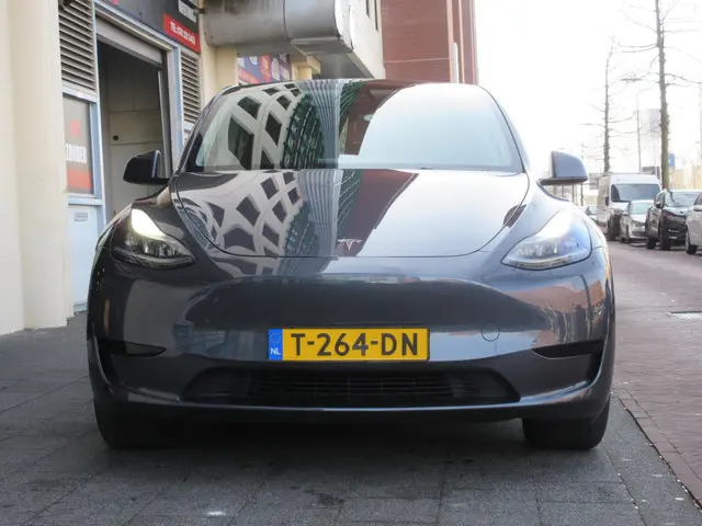 Tesla Model Y RWD 58 kWh 2023 Elektrisch 6