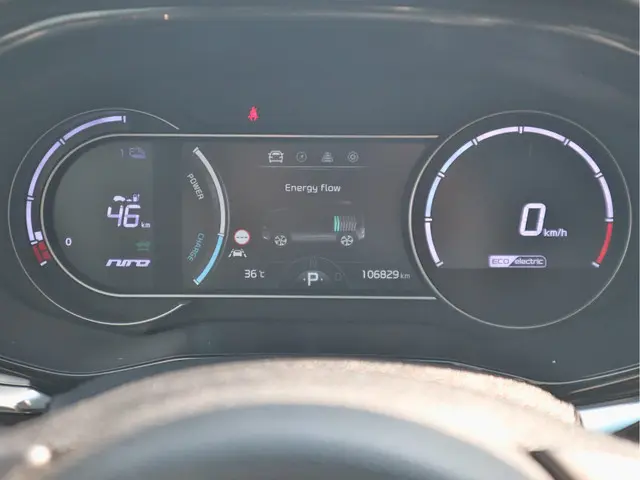 Kia e-Niro ExecutiveLine 64 kWh 2020 Elektrisch 10