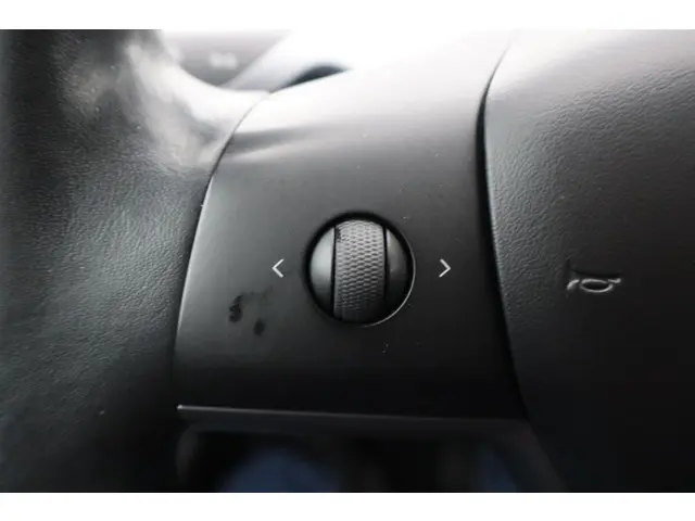 Tesla Model 3 Performance AWD 75 kWh 2019 Elektrisch 24