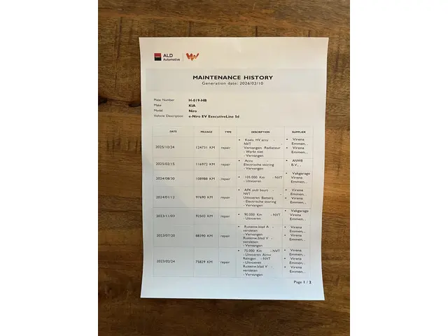 Kia e-Niro ExecutiveLine 64 kWh 2020 Elektrisch 48