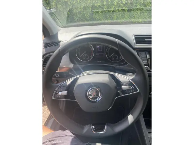 Škoda Fabia Combi 1.0 TSI Business Edition 2022 Benzine 6