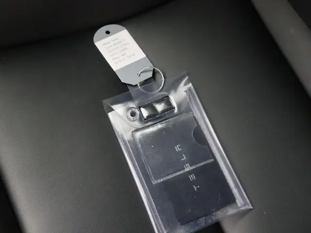 Tesla Model 3 Standard RWD Plus 60 kWh 2020 Elektrisch 5