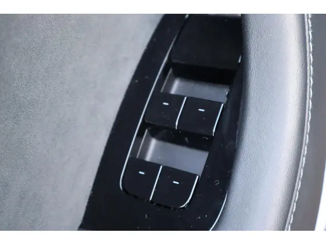 Tesla Model 3 Standard RWD Plus 60 kWh 2020 Elektrisch 22