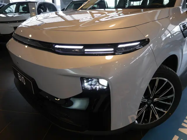 Leapmotor B10 Life Pro 56.2 kWh 2026 Elektrisch 29