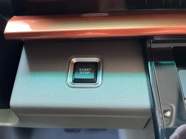 Farizon SV L2H3 83 kWh 2025 Elektrisch 34