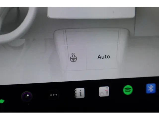 Tesla Model 3 Long Range AWD 75 kWh 2021 Elektrisch 31