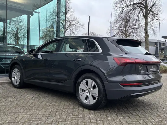 Audi e-tron 50 quattro edition 71 kWh 2020 Elektrisch 20