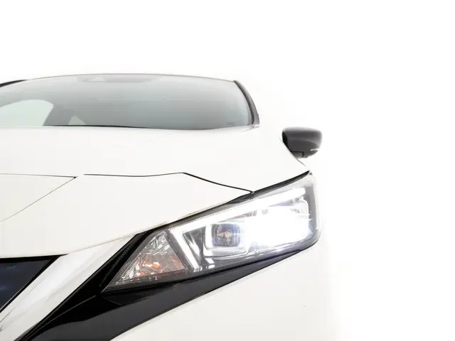 Nissan Leaf Tekna 40 kWh 2019 Elektrisch 30