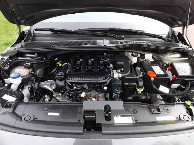 Peugeot 208 1.2 PureTech Like 2021 Benzine 12