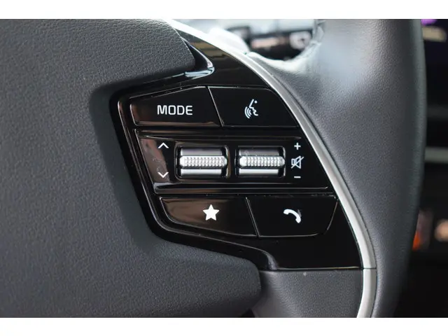 Kia Niro EV Edition Advanced 64.8 kWh 2024 Elektrisch 13