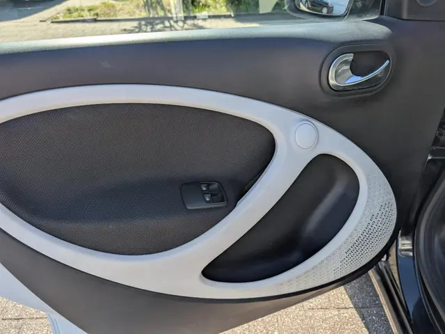 Smart Forfour 1.0 Prime / Goed onderhouden 2017 Benzine 22